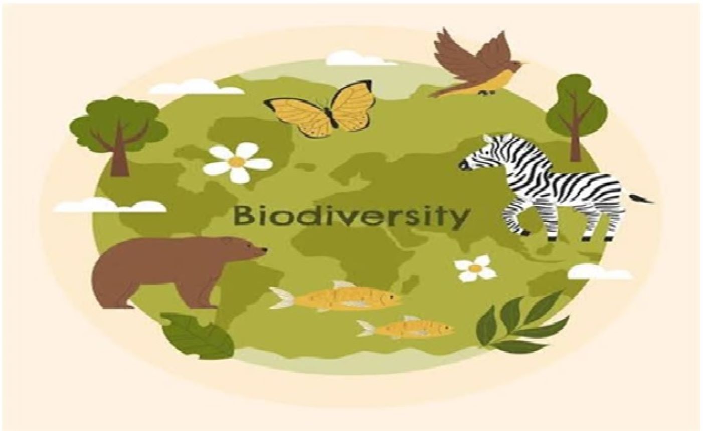 National Biodiversity Authority (NBA) of India released a Standard Operating Procedure (SOP) for the notification of threatened species